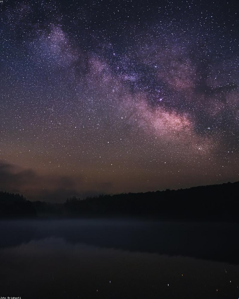 Nghệ thuật cắm hoa đêm