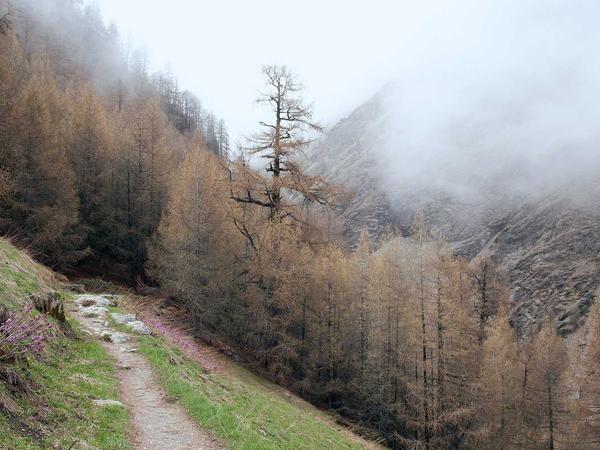 Rủi ro bảo mật