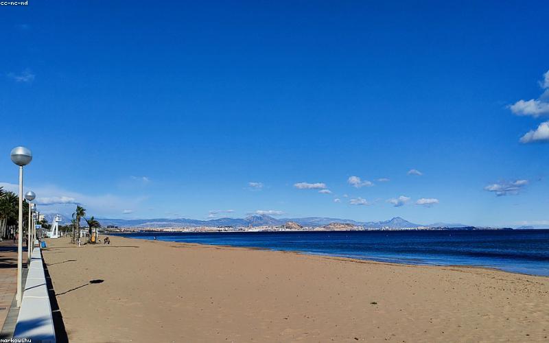 Chi tiết hoa lan hài quý hiếm