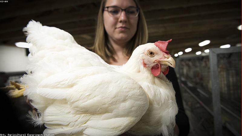 Phân tích dữ liệu dược phẩm nano