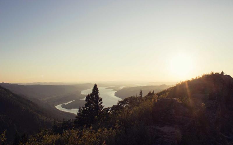 Thống kê thị phần smartphone