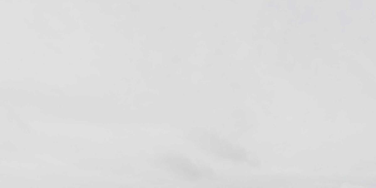 Nông sản Net Zero 2026