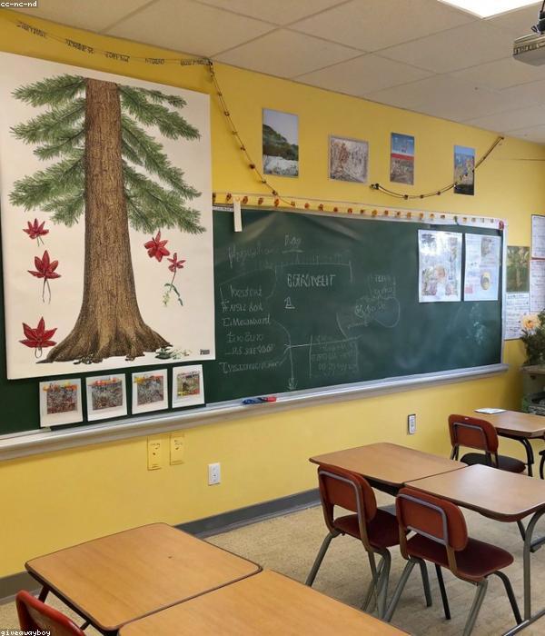 Lớp học của thầy Huy