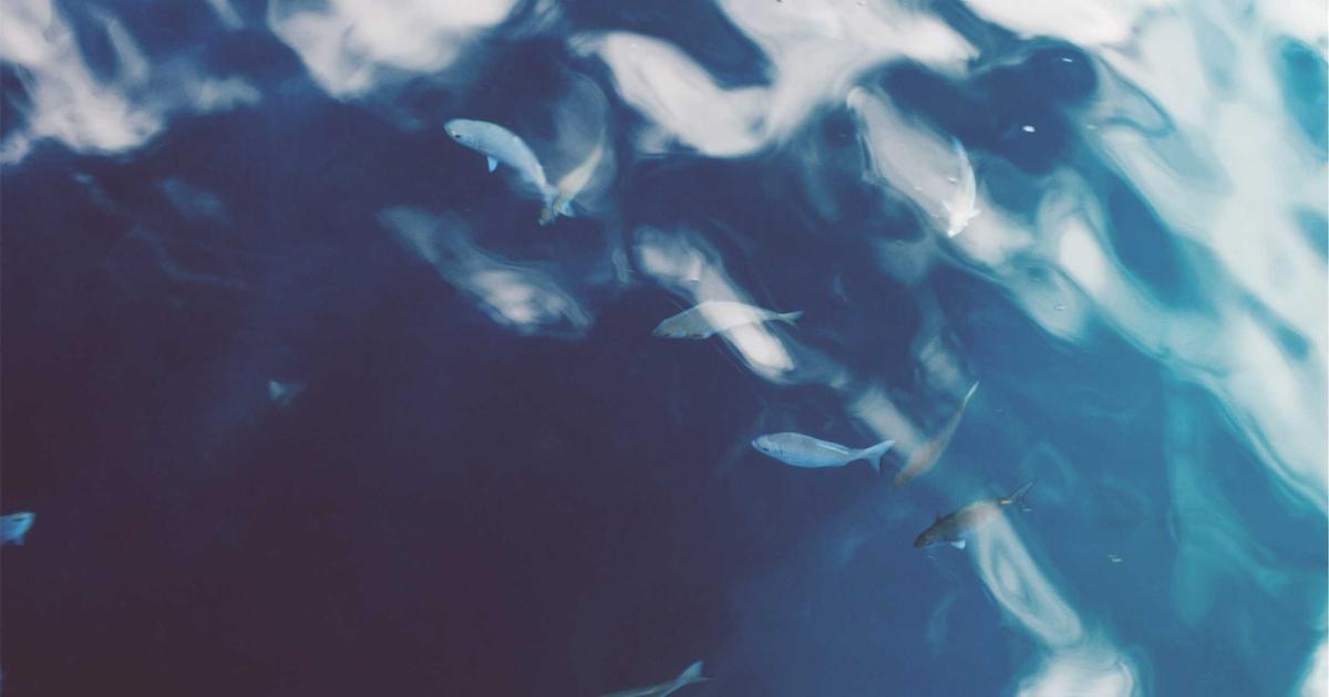 Hướng dẫn quy trình thuê ngoài nhân sự (Outsourcing) hiệu quả cho doanh nghiệp mới