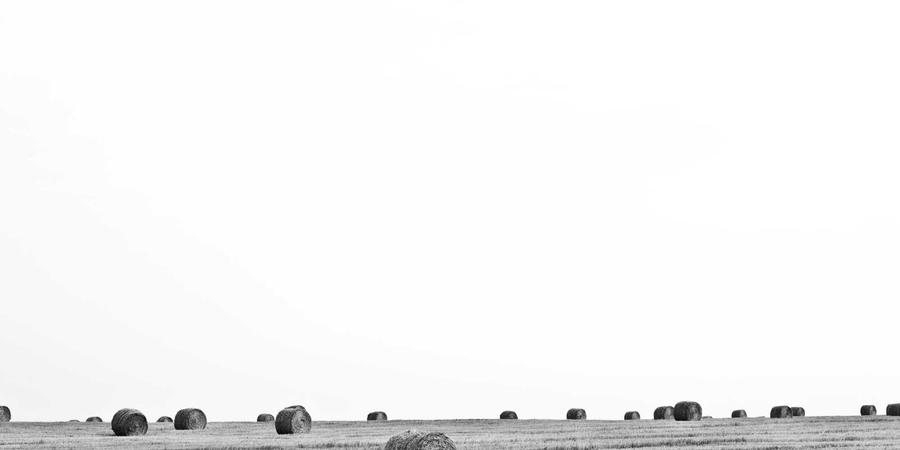 Cyber Security Operation Center 2026