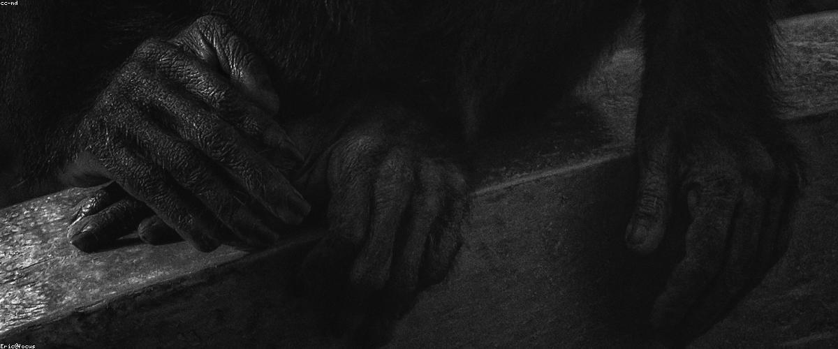 Tác động sâu vào mô cơ