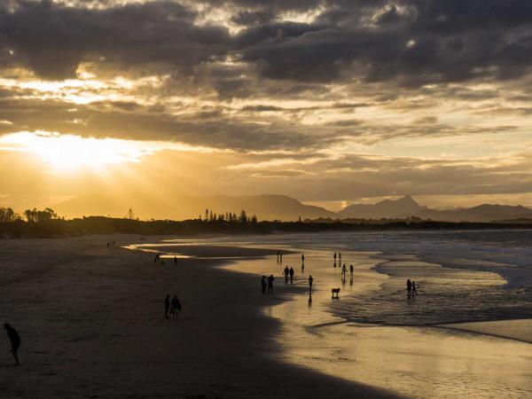 Expert Gear Observation Binoculars