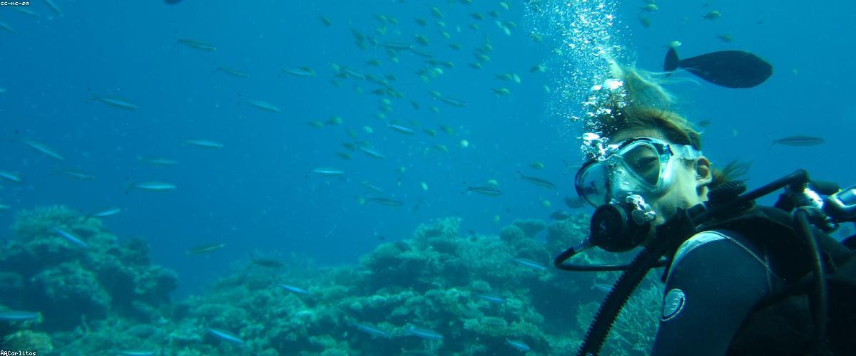 Bối cảnh resort 5 sao sang trọng