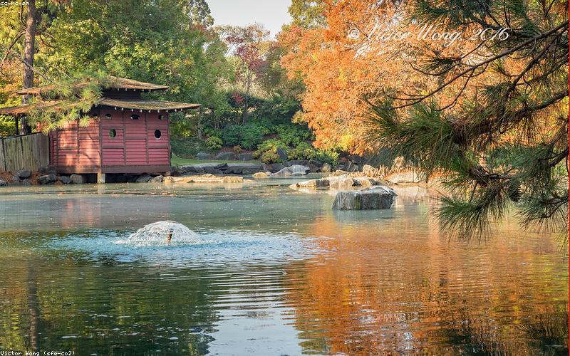 Solo picnic chữa lành tâm hồn
