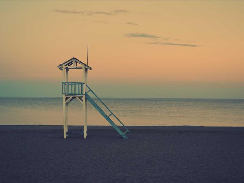 Spring Forest Collection