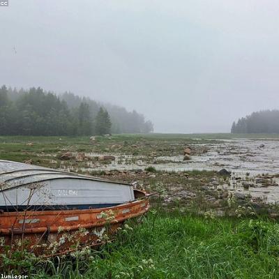 Tĩnh Không Biển Vịnh