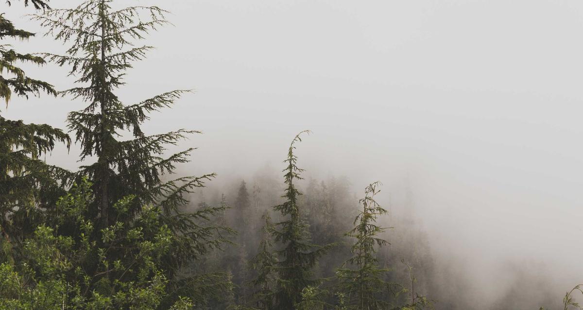 Thi công nhanh chóng với Sand-Glass