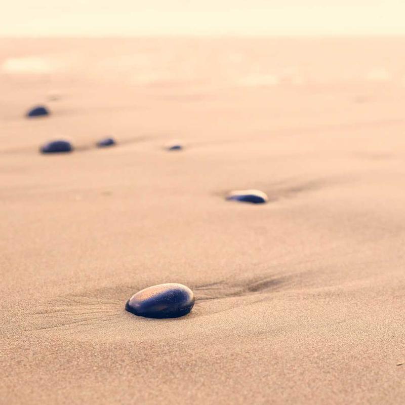 Bình hoa đại sảnh - Infinity Blue 2026 2