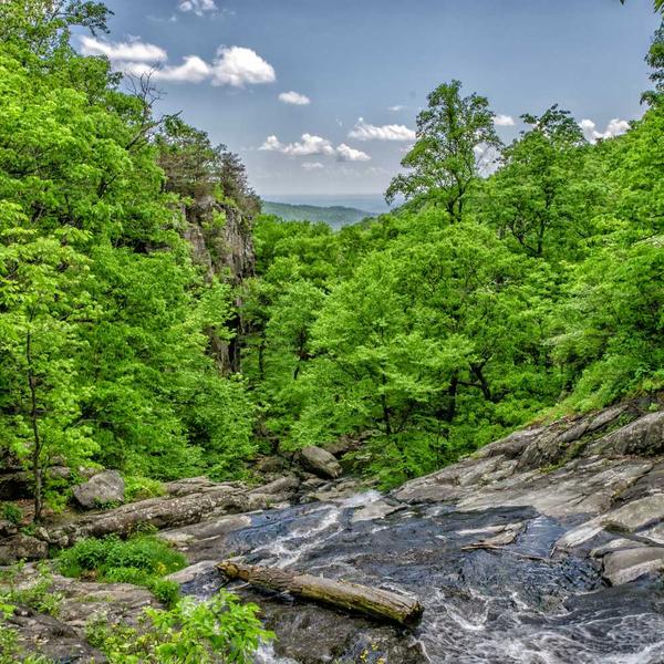 Lối sống Aurora 2026