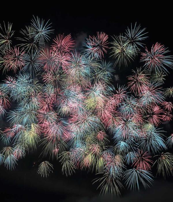 Kỹ thuật cắm hoa 2026