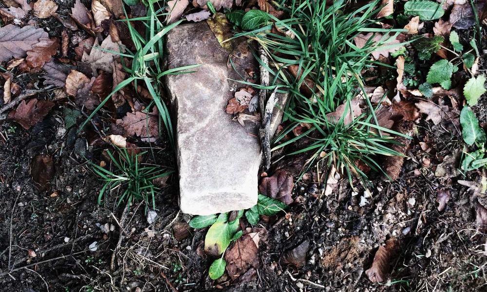 Phối cảnh sân vườn biệt thự phong cách Biophilic 2026