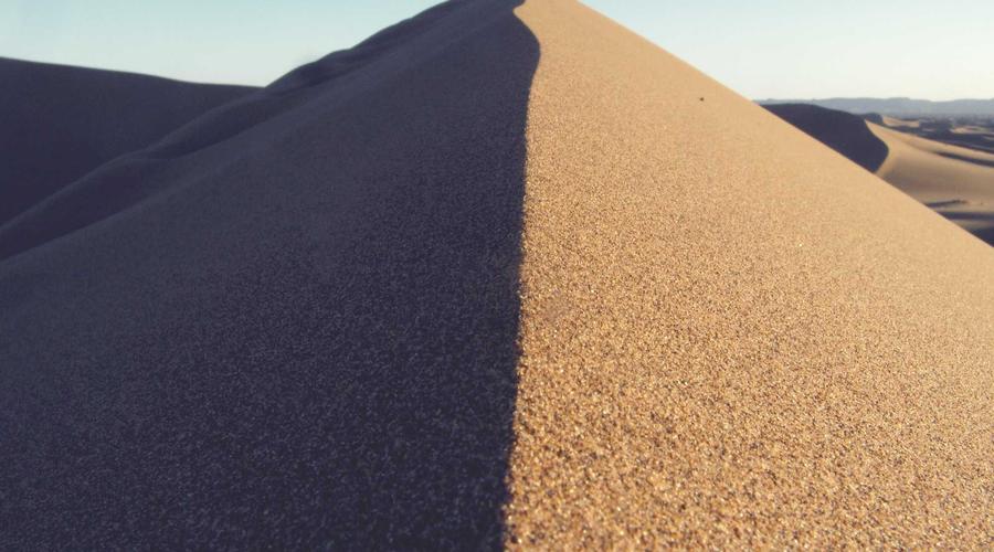 Vật liệu sinh học Brick World 2026