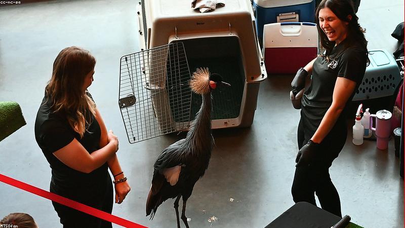 Các bé cười đùa trong buổi tiệc