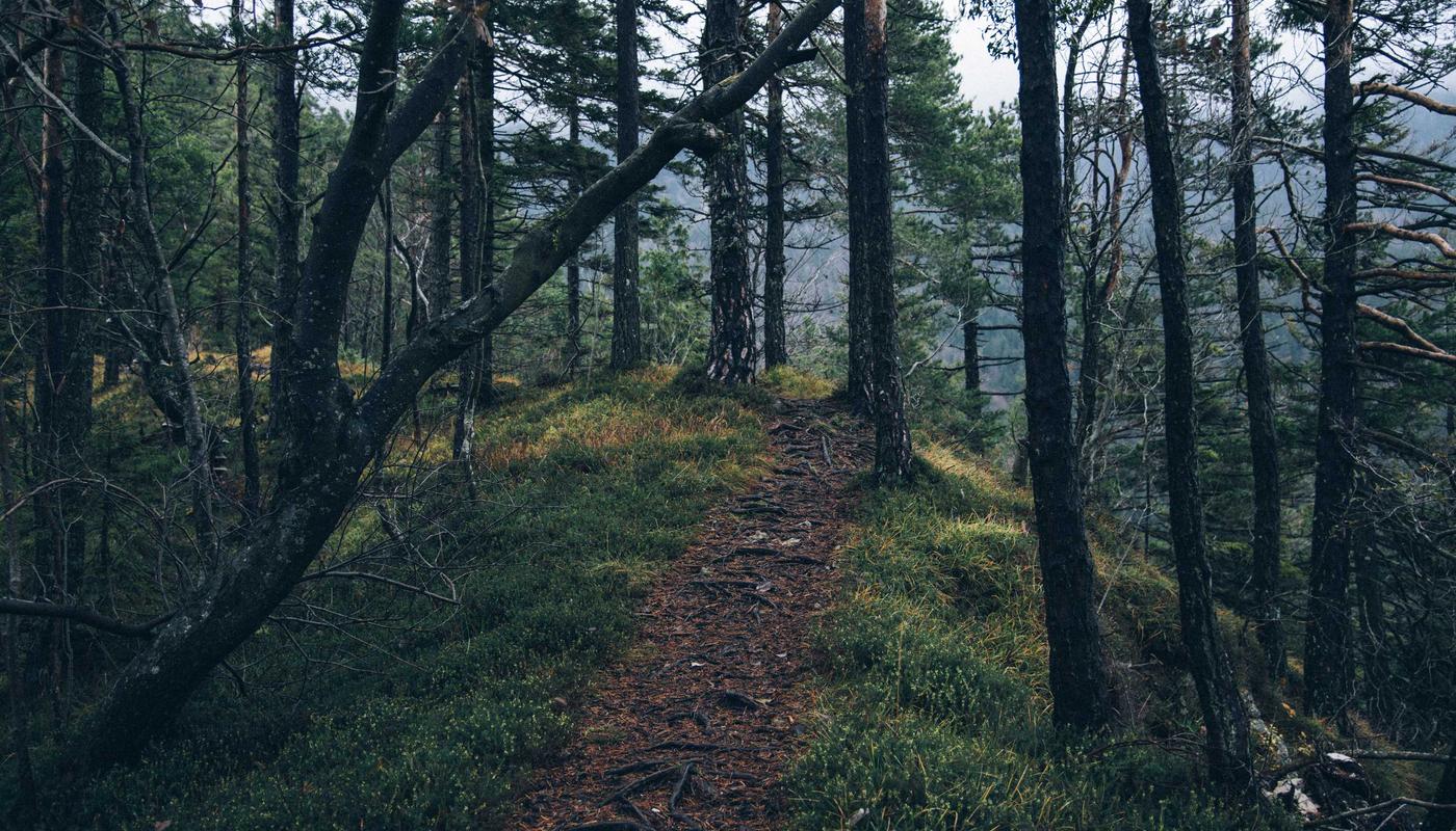 Ocean Minerals Bio-Exfoliation