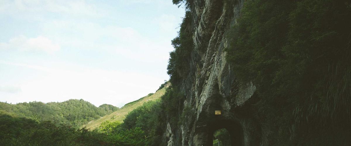 Bác sĩ làm việc trực tuyến