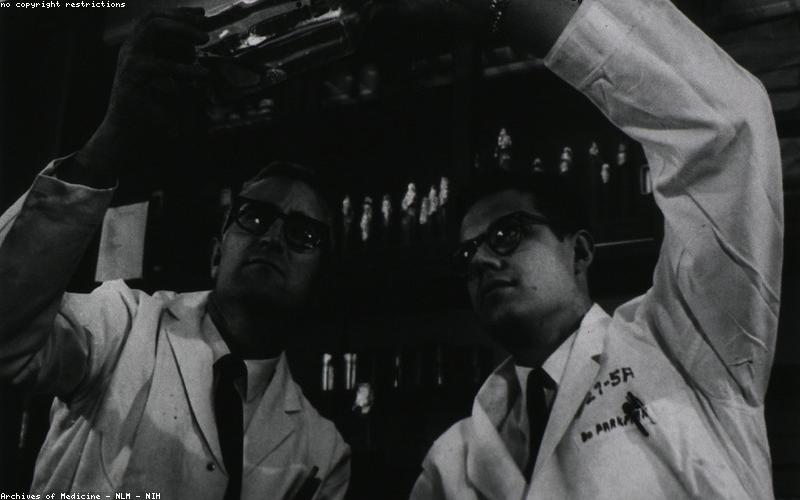 Kính Modern Cat-eye