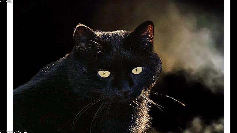 Ẩm thực bền vững tại khách sạn