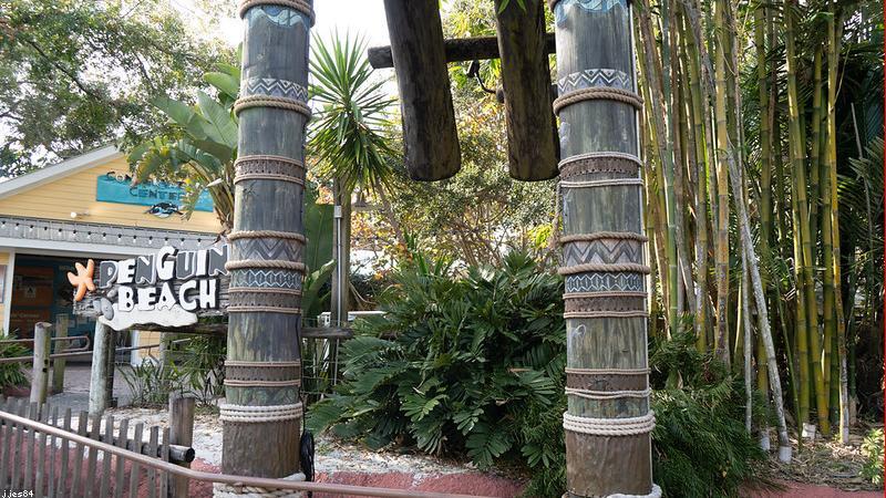 Rừng tre nguyên liệu bền vững