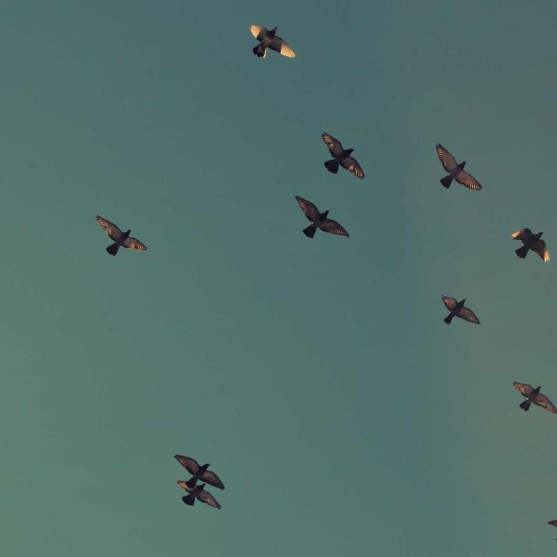 Điện Thoại iPhone 15 Pro Max 256GB Chính Hãng