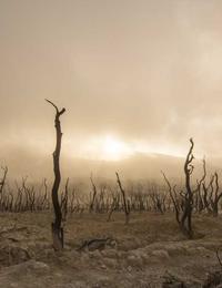Matthew Kenney portrait