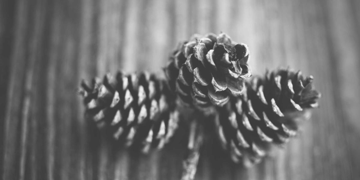 High Performance Computing GPU