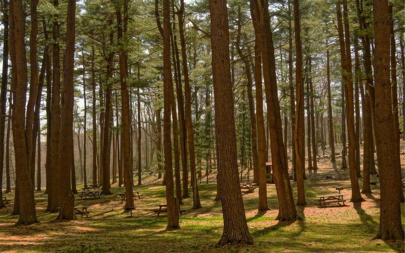 Nghệ thuật chậu cây 2026