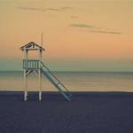 Rosemary illustration