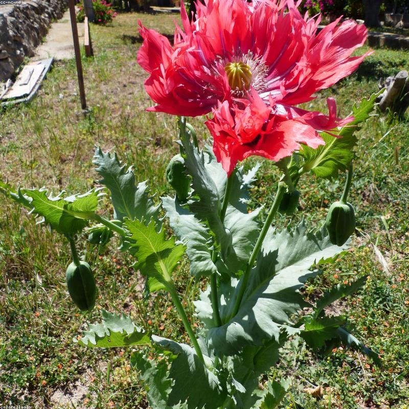 Tom Ford Ombré Leather EDP