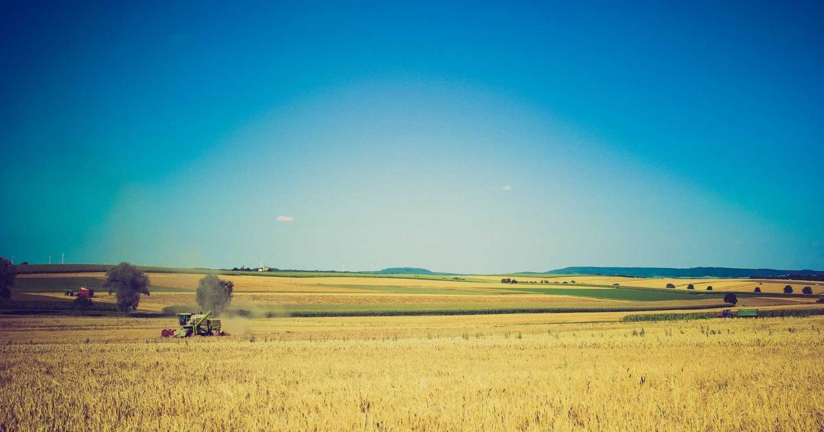 Top 10 phần mềm diệt virus miễn phí tốt nhất cho người dùng cá nhân