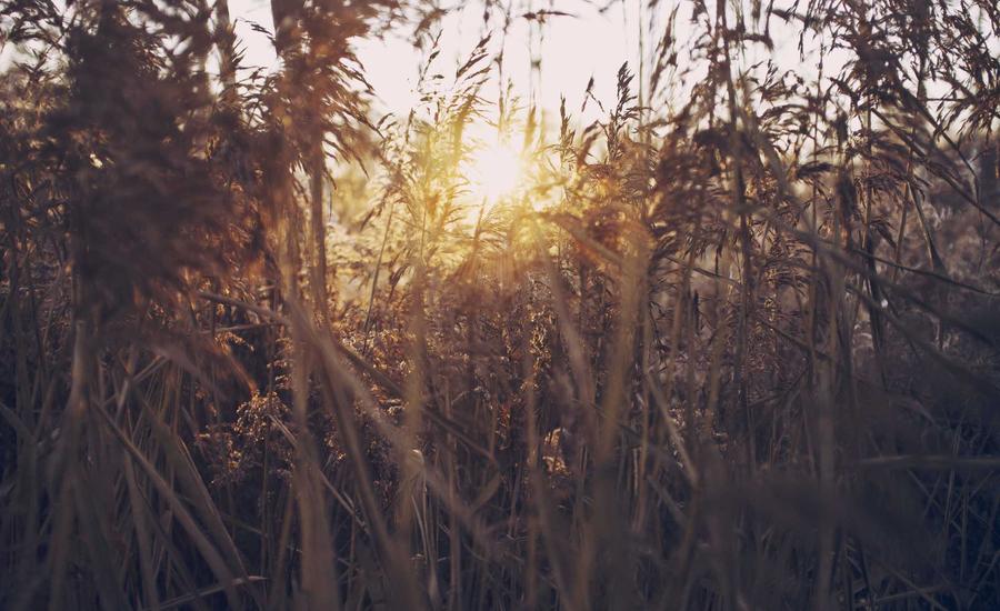 Micro-detox technology 2026