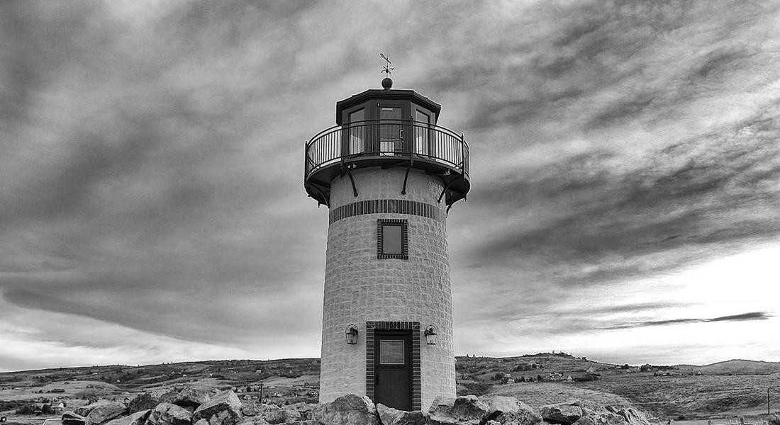 Professional Beard Grooming