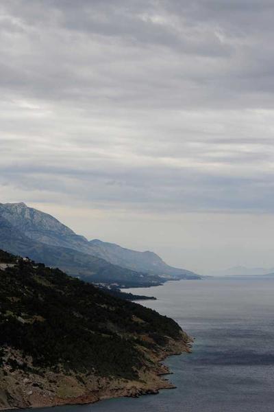 Professional Trade Advisory