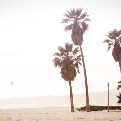 Túi Tote Minimalist