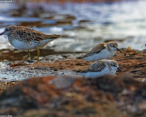 So sánh hiệu quả