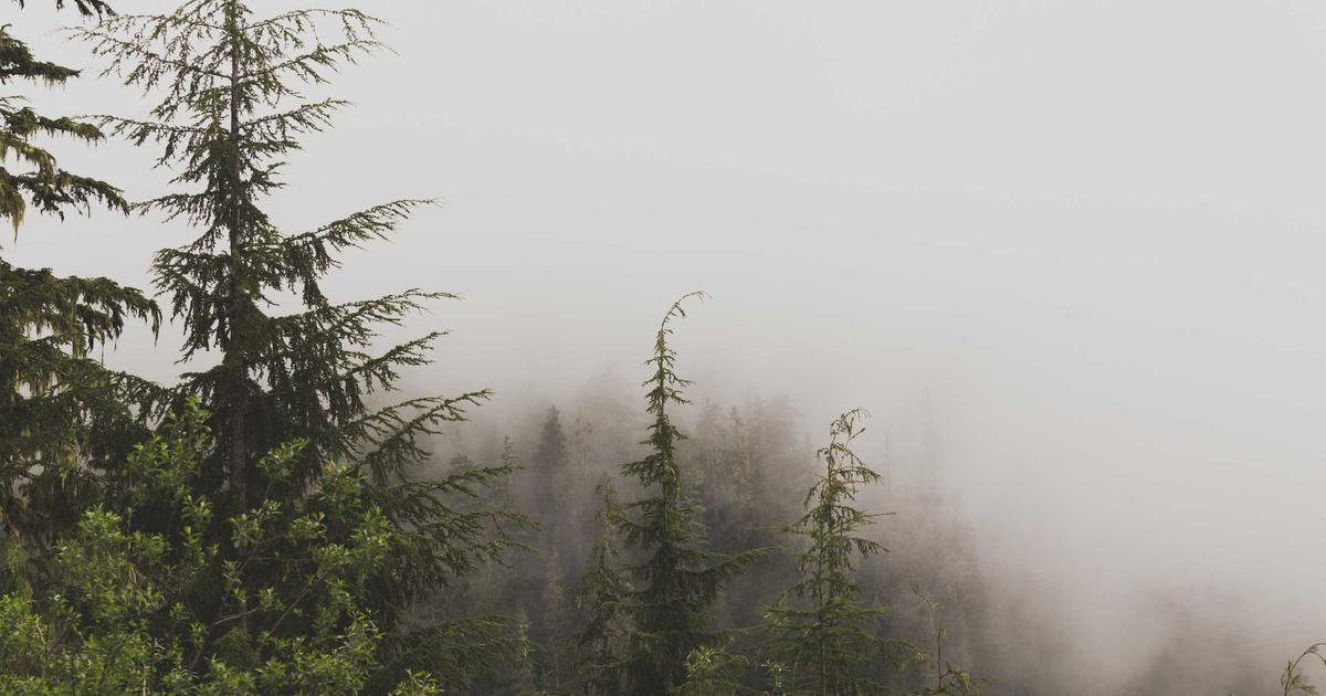 Apple Intelligence sẽ hỗ trợ tiếng Việt vào năm 2025: 'Cú hích' giúp doanh số iPhone 16 tăng trưởng 20%?