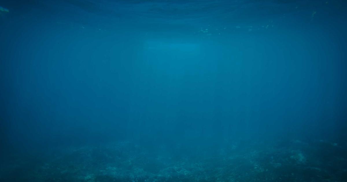 Xu hướng thiết kế website bằng AI năm 2024: BrandBoost dẫn đầu cuộc cách mạng công nghệ