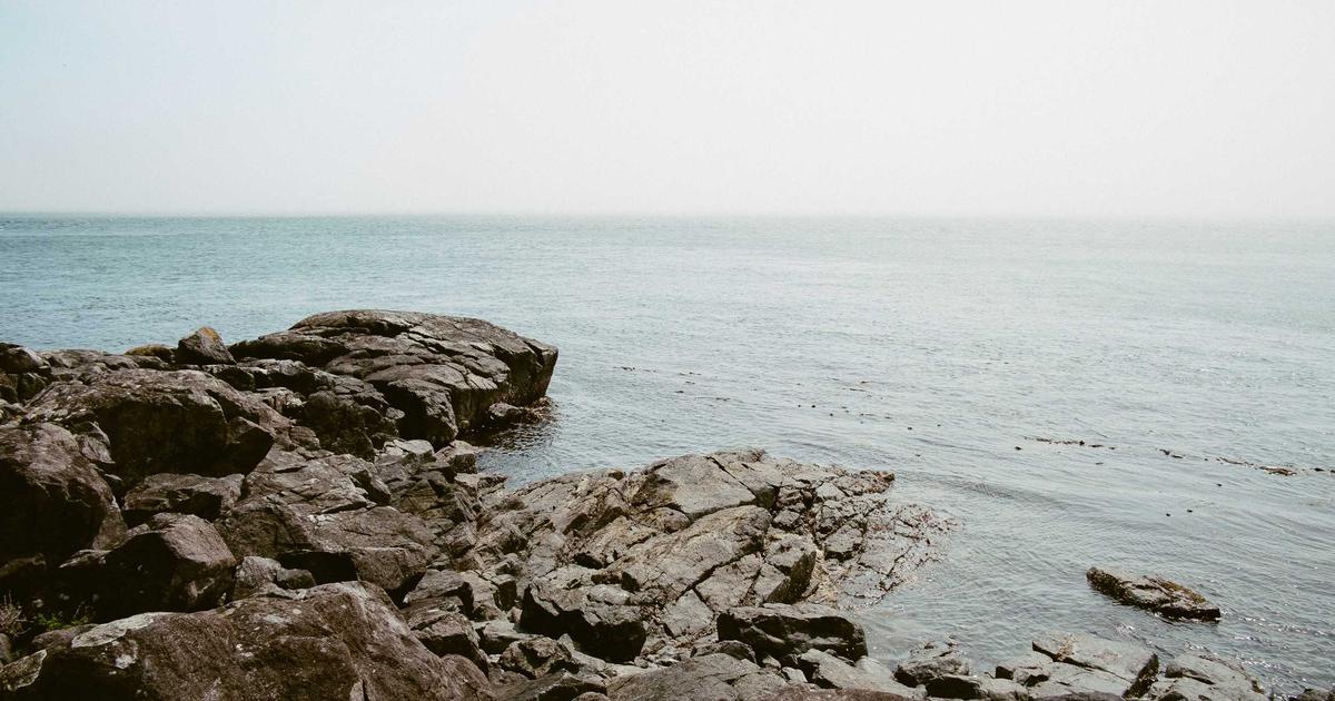 Phân tích hiệu quả: Tại sao thiết kế website tự động bằng AI là lựa chọn tối ưu cho doanh nghiệp SME?