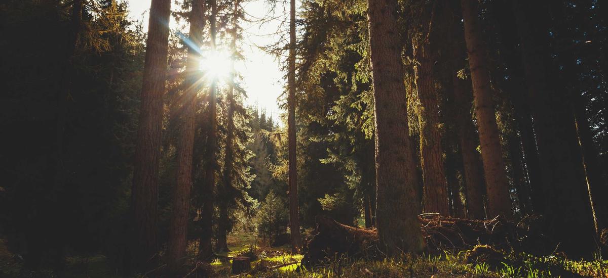 Data Security Visualization