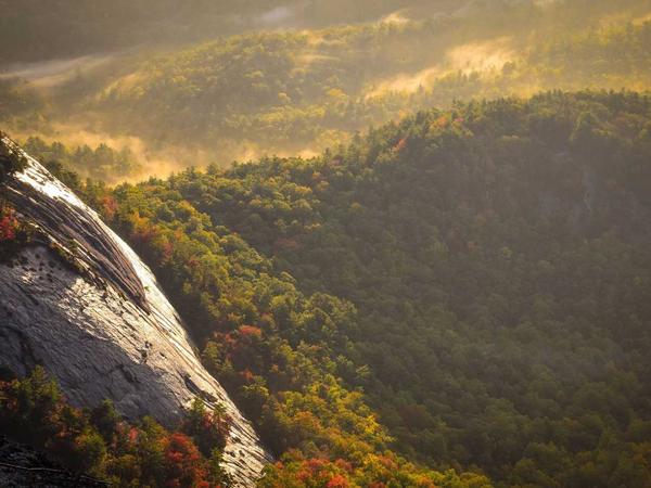 Eco Material Details