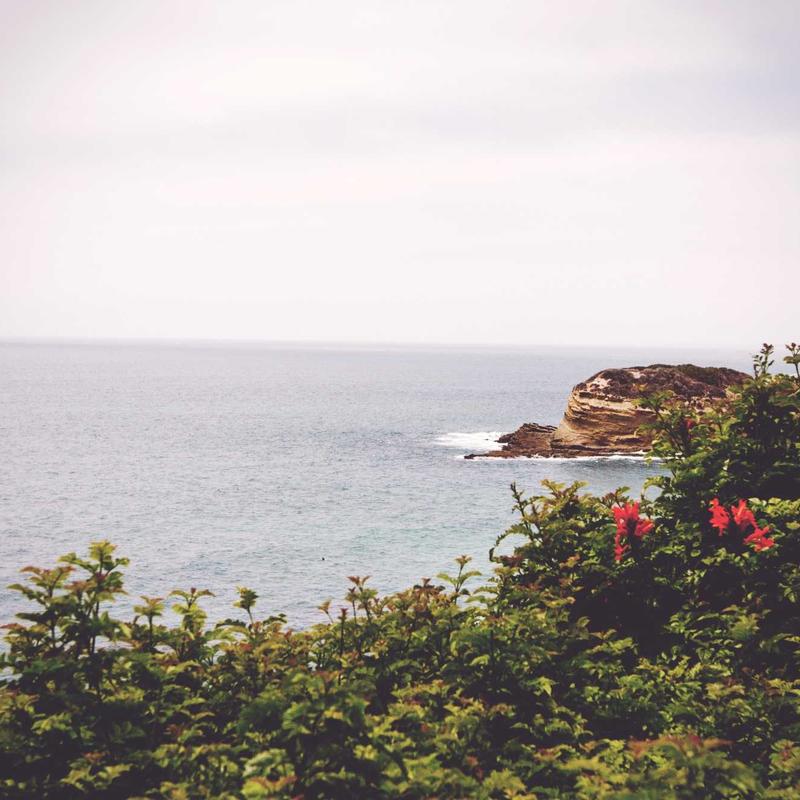 Kệ điện thoại