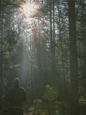 Homestay Phú Quốc 2026