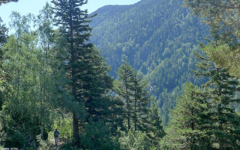 Hướng dẫn viên leo núi chuyên nghiệp trên đỉnh cao