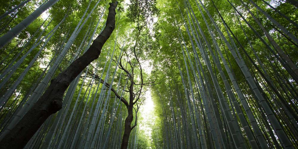 Zero Trust Architecture 2026 Visualization