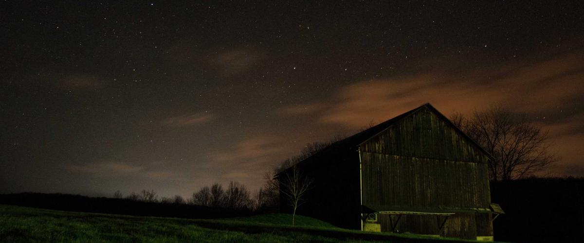 Toàn cảnh dự án tường rêu hoàn thiện