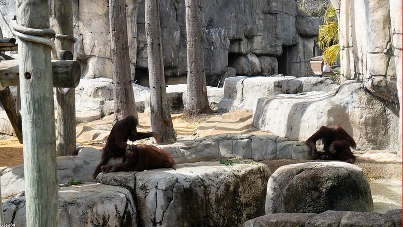 Nguyên liệu tự nhiên cao cấp tại HandmadeViet